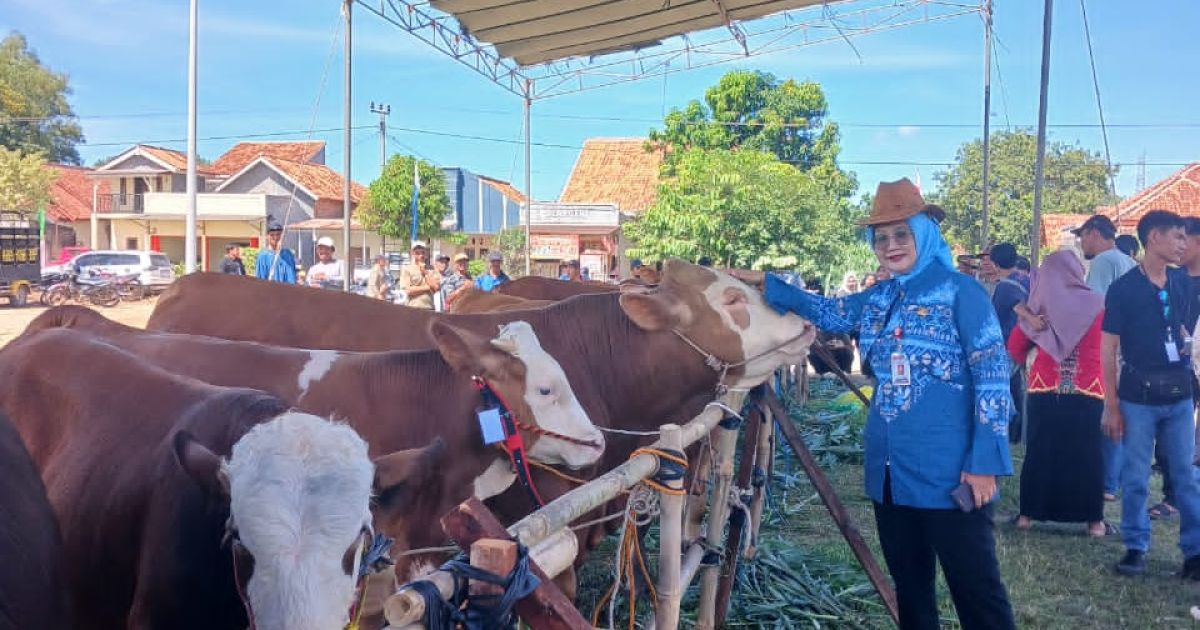 Data Buktikan Pasokan Aman, Pemprov Lampung Luruskan Isu Daging Sapi