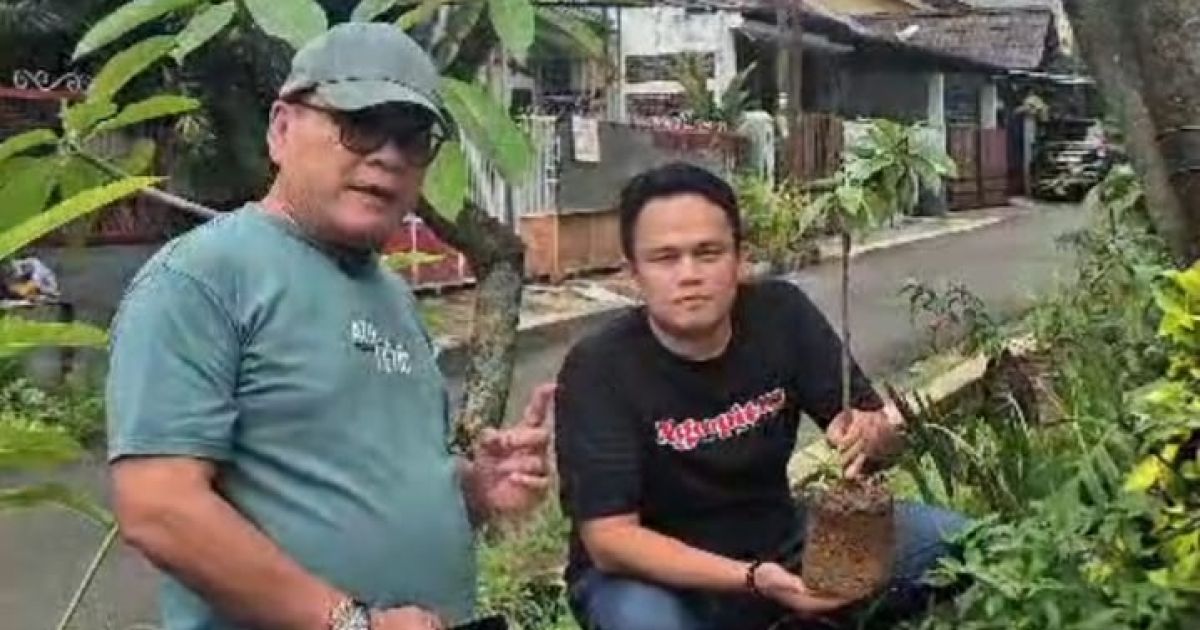 Jelang Ramadan, PPP Depok Tunda Gerakan 1.000 Pohon, Ini Alasannya