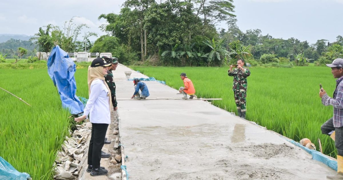 Bupati Pesawaran Nanda Indira mendampingi Wasev TMMD Ke-127 Kodim 0421/Lampung Selatan yang meninjau progres pembangunan infrastruktur di Desa Tanjung Rejo.