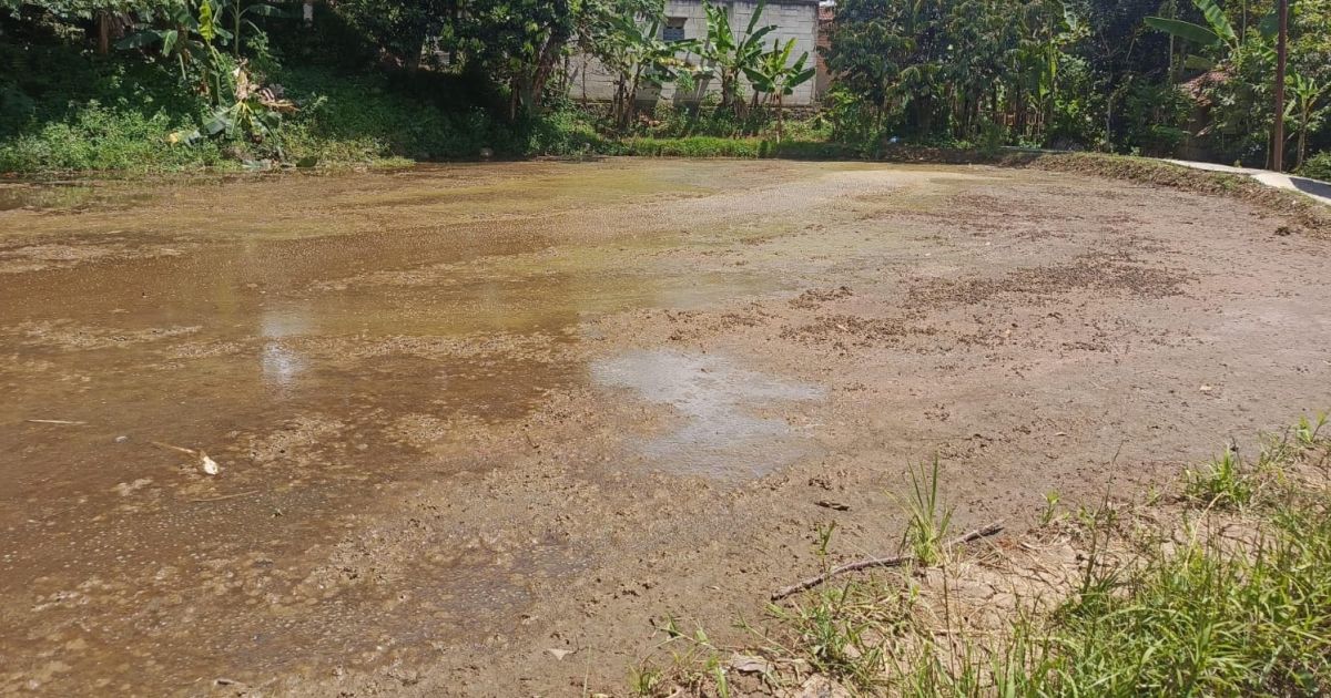 Setelah 5 Tahun Kekeringan, Irigasi Cibongas Kembali Mengalir, Petani Kalongliud Mulai Garap Sawah