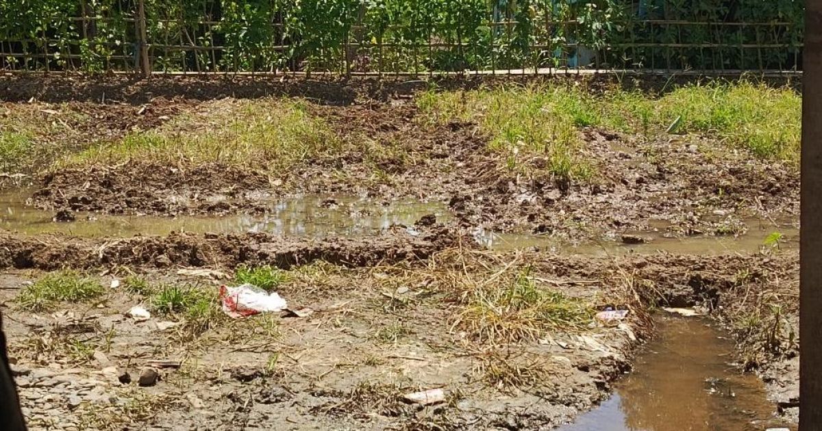 5 Tahun Mati Surga Sawah, Kini Air Kembali Mengalir di Kalongliud