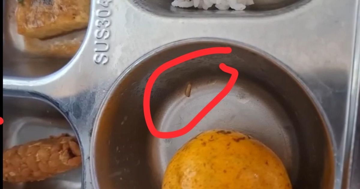 Heboh! Wali Murid Temukan Belatung di Menu MBG Nanggung