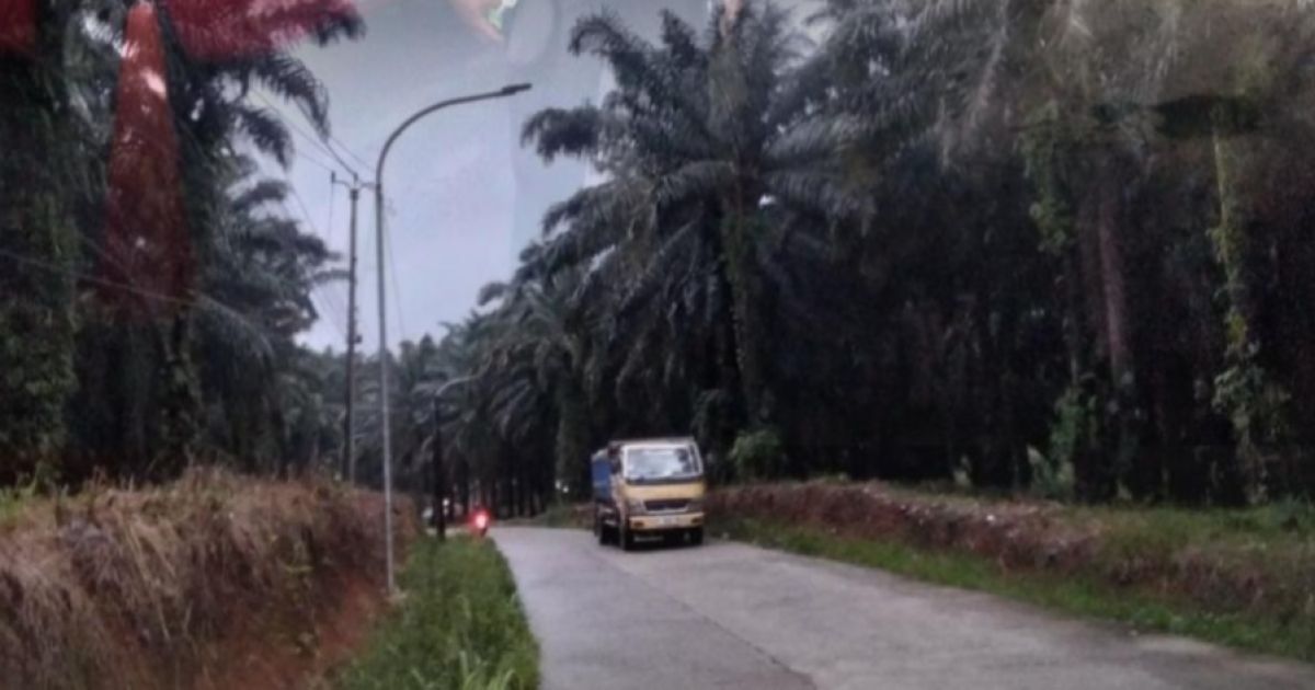 Ratusan lampu PJU di jalur Cigudeg menuju Sukajaya, Kabupaten Bogor, mati dan membuat jalan gelap. Warga mendesak Pemkab Bogor segera melakukan perbaikan.