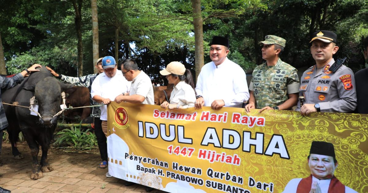 Presiden Prabowo Kirim Sapi Kurban 1,2 Ton untuk Kabupaten Bogor