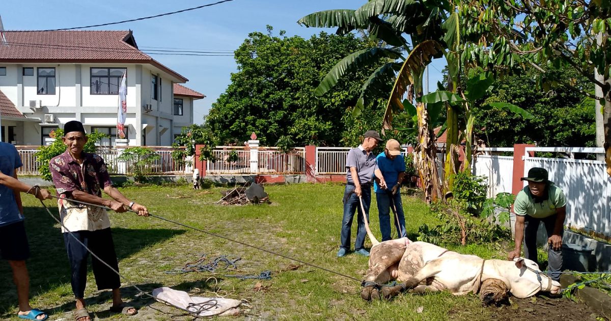 Sekber Wartawan Bogor Raya Potong Hewan Kurban, Apresiasi Bantuan Sapi dari Bupati Bogor