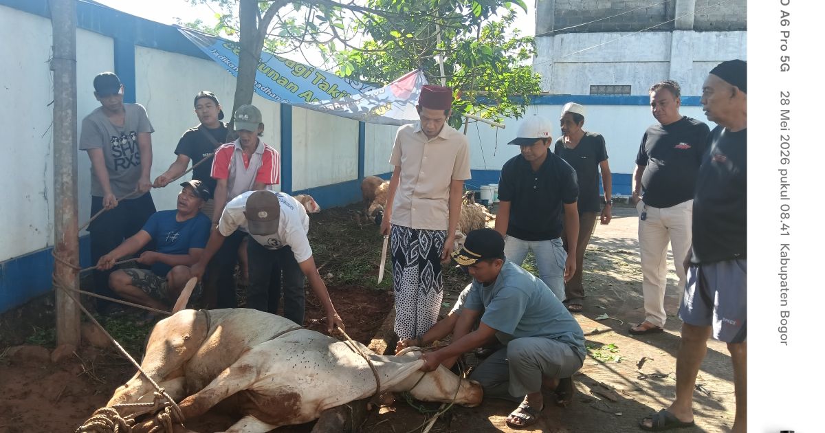 PWI Kabupaten Bogor Potong 1 Sapi dan 9 Kambing pada Iduladha 1447 H