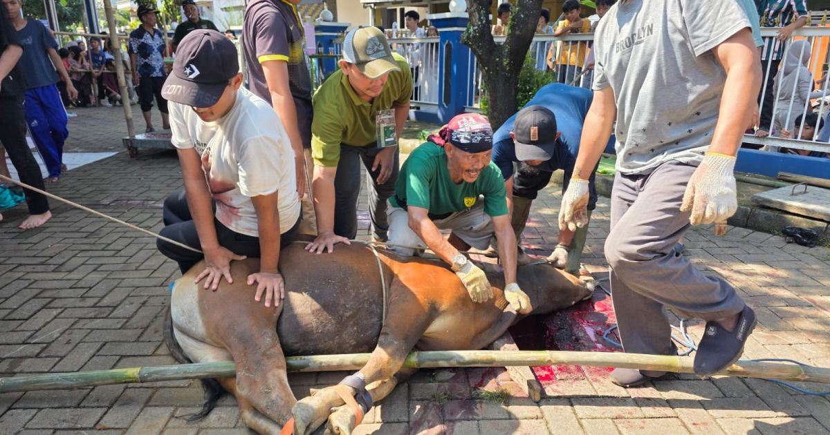 Masjid Ar-Rahmah Cileungsi Sembelih 10 Sapi dan 23 Kambing di Iduladha 1447 H