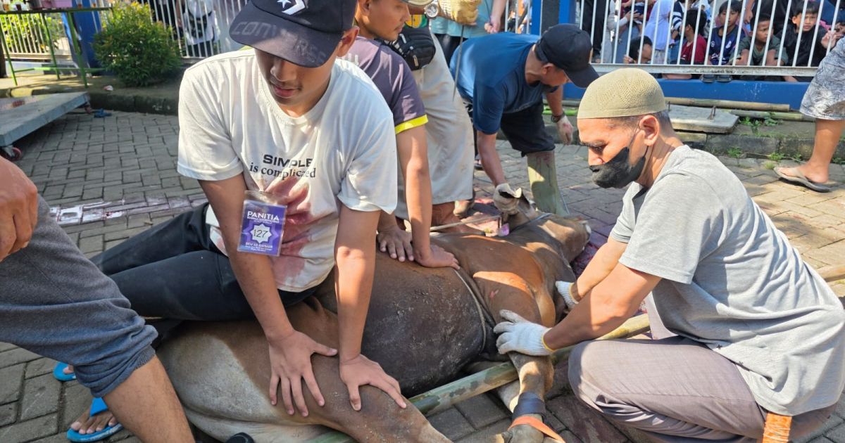 Masjid Ar-Rahmah Cileungsi Tebar Kepedulian Lewat 33 Hewan Kurban