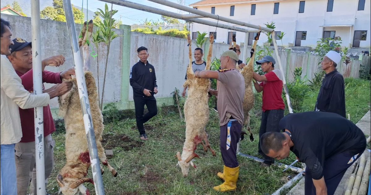 SMPN 2 Caringin Gelar Pemotongan Hewan Qurban, Perkuat Pendidikan Karakter dan Kepedulian Sosial