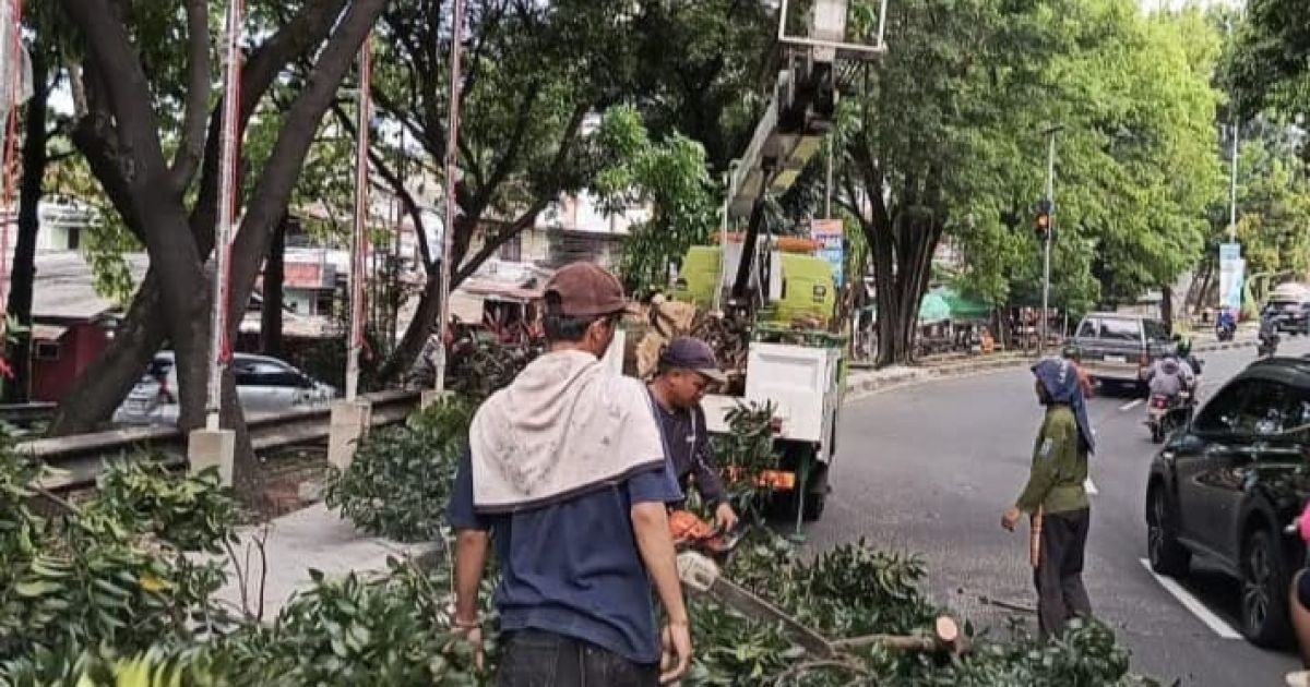 DLHK Kota Depok merawat 278 pohon, menebang 14 pohon rawan tumbang, menanam 184 pohon baru, serta membangun 10 titik biopori sepanjang Mei 2026 guna mewujudkan kota yang lebih hijau, aman, dan berkelanjutan.