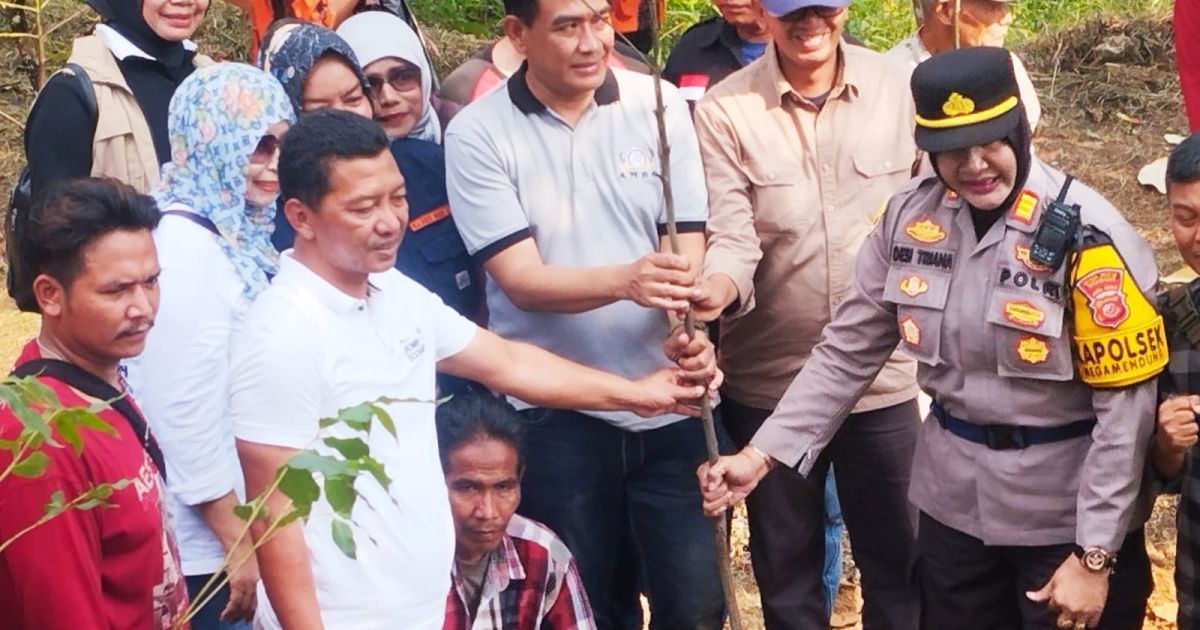 Aliansi Masyarakat Bogor Selatan (AMBS) menanam ratusan pohon dan menebar 10 ribu bibit ikan Nilem di Sungai Ci Esek, Megamendung, dalam rangka Milad ke-9 AMBS, Hari Jadi Bogor ke-544, dan Hari Lingkungan Hidup Sedunia.
