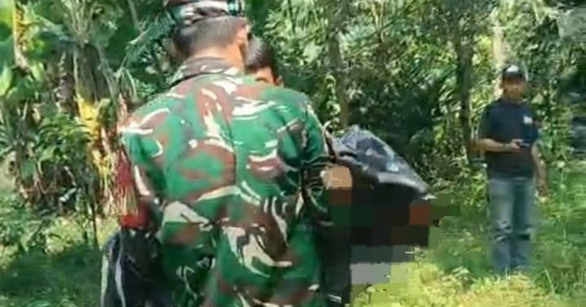 Perburuan Babi Hutan di Jasinga Berujung Maut, Polisi Lakukan Penyelidikan