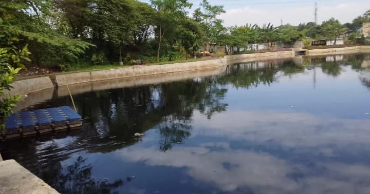 DLHK Kota Depok melakukan investigasi dugaan pencemaran Situ Bahar. Sampel air diuji laboratorium, sementara Pemkot menyiapkan pengerukan sedimen dan penguatan jaring sampah untuk pemulihan lingkungan.