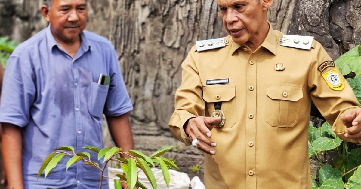 Jaro Ade Canangkan Gerakan Tanam Pohon di Pekarangan Rumah, Awali dengan Durian Black Thorn di Megamendung