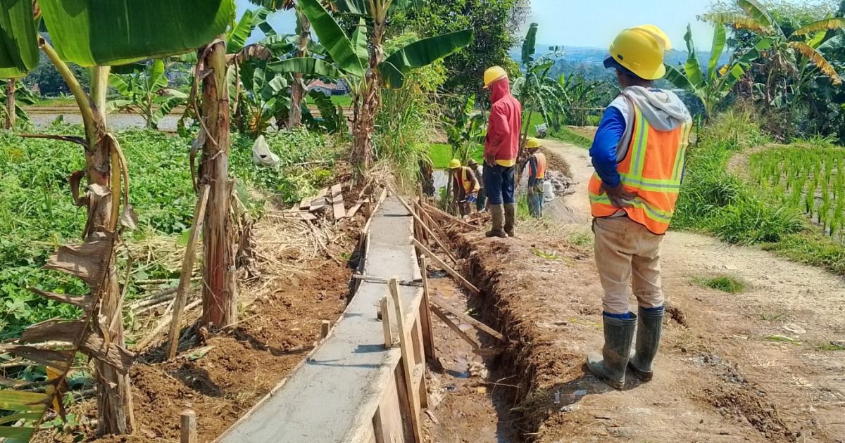P3A Mitra Cai Legok Pancawati membangun saluran irigasi sepanjang 400 meter melalui Program P3TGAI di Desa Pancawati, Caringin, Kabupaten Bogor.
