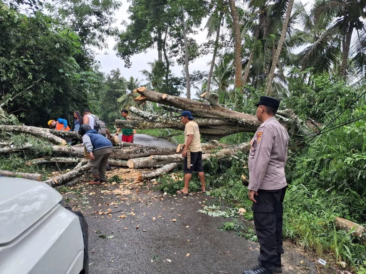 Sigap Bersama Warga, Personel Polsek Kedondong Evakuasi Pohon Tumbang di Jalan Poros Desa Kubu Batu