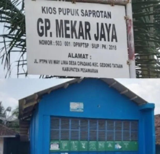 Ketua Gapoktan Mekar Jaya Terancam Dibui Atas Dugaan Korupsi Pupuk Bersubsidi