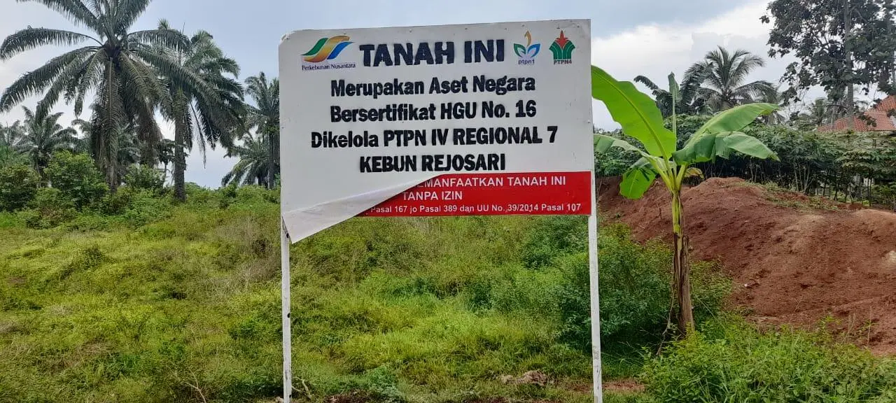 Sengketa Lahan Memanas, Masyarakat Adat Halangan Ratu Geram dengan PTPN I