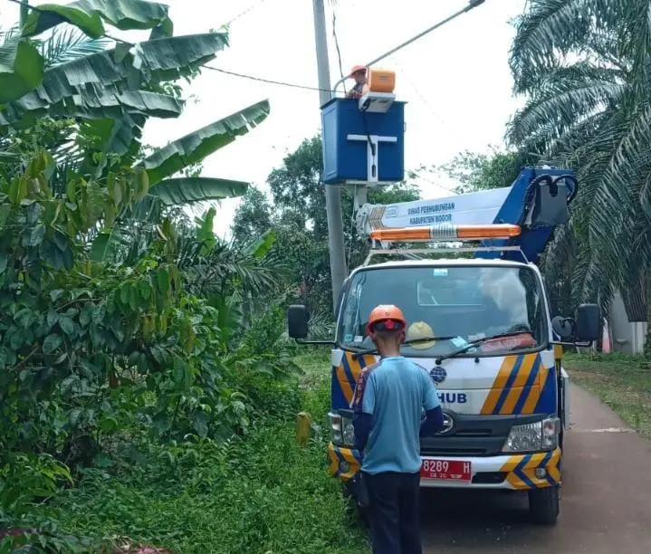 Usai Pohon Tumbang, Dishub Pulihkan Penerangan di Jalur Wisata Koleang