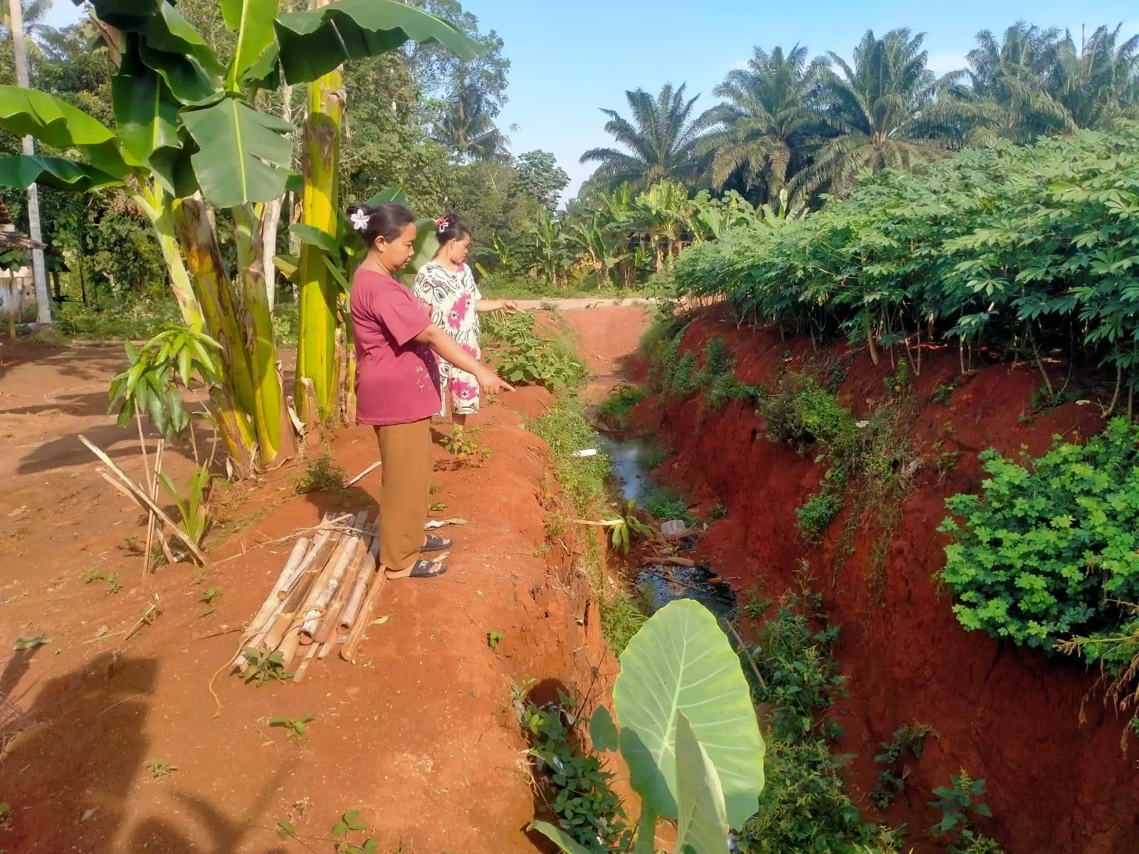 Mimpi Buruk Warga Halangan Ratu: Lubang Raksasa Ancam Keselamatan