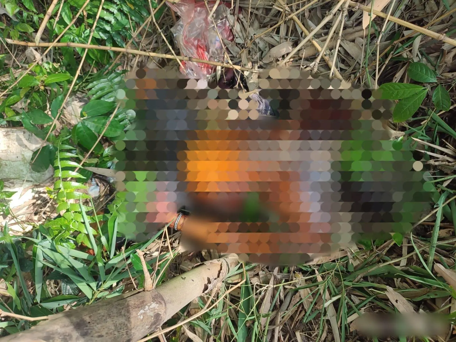 Geger Penemuan Mayat Pria di Sungai Kebagusan, Polsek Gedong Tataan Lakukan Penyelidikan