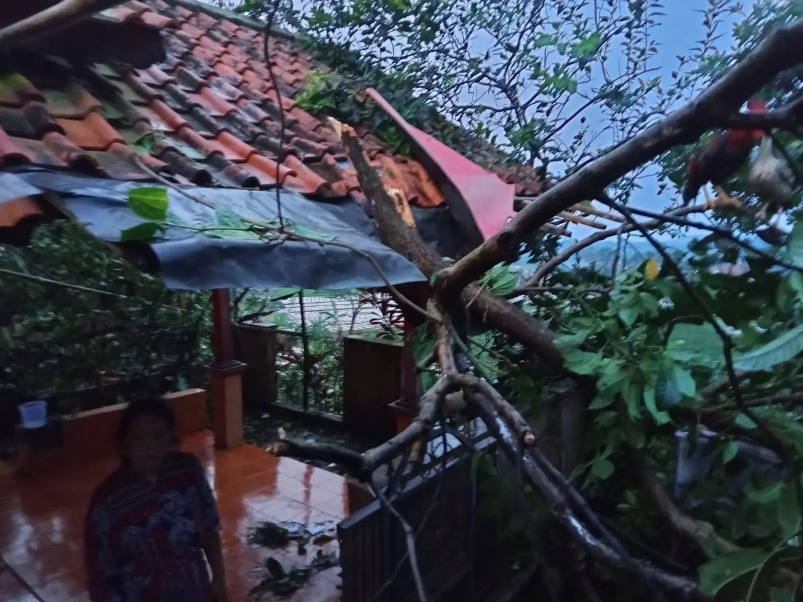 Desa Gunung Bunder 2 Dikepung Angin Kencang, Warga Bersyukur Tak Ada Korban