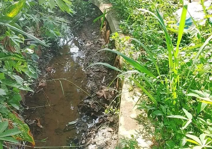 Irigasi Mampet, Petani Desa Koleang Khawatir Gagal Panen