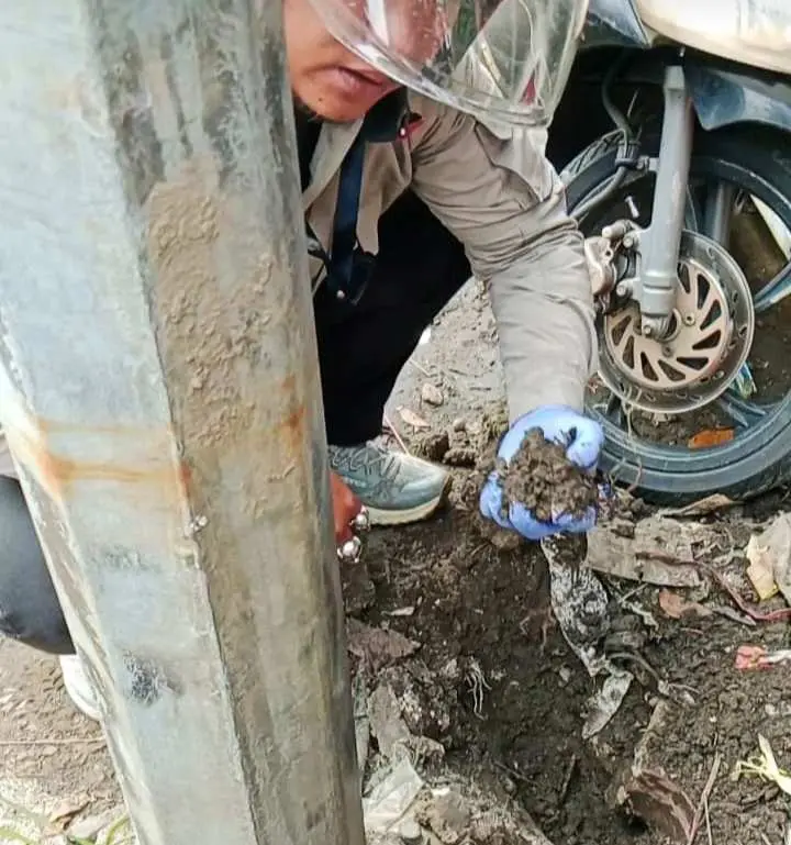 Asap Misterius Berbau Belerang di Tapos, Pakar Temukan Zat Kimia Berbahaya, DLHK Depok Tanpa Alat Uji