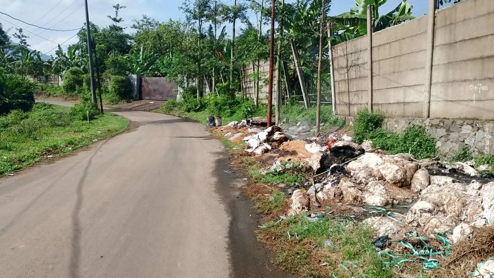 Pembakaran Sekam dan Limbah Cair Cemari Jalan Ngasuh–Cileuksa, Warga Resah