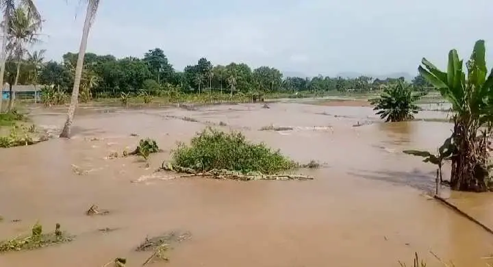 Banjir di Ciseeng Lumpuhkan Petambak Ikan, Rudy Susmanto Gerak Cepat