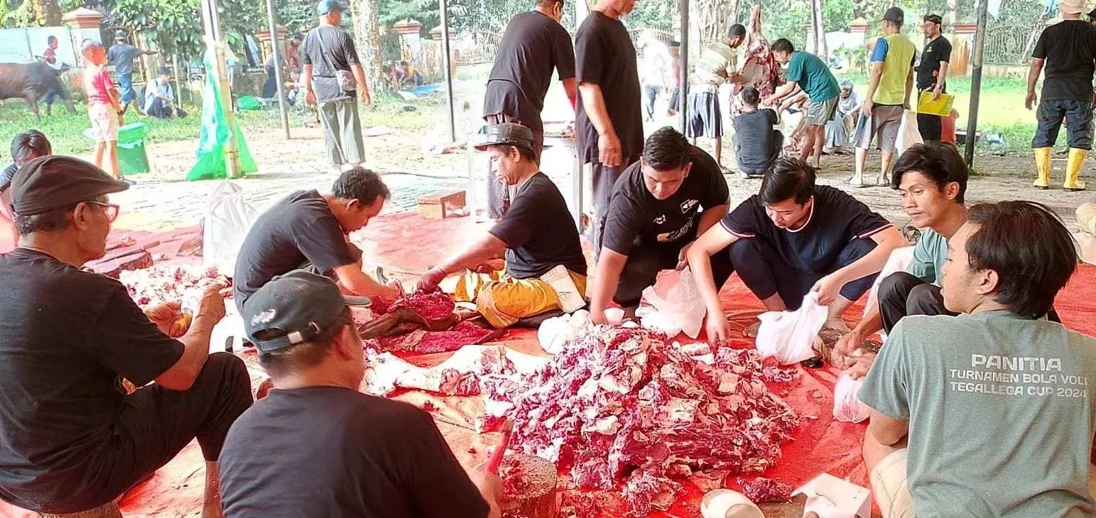 CSR Antam Pongkor: Puluhan Sapi dan Kambing Kurban Disalurkan ke Warga