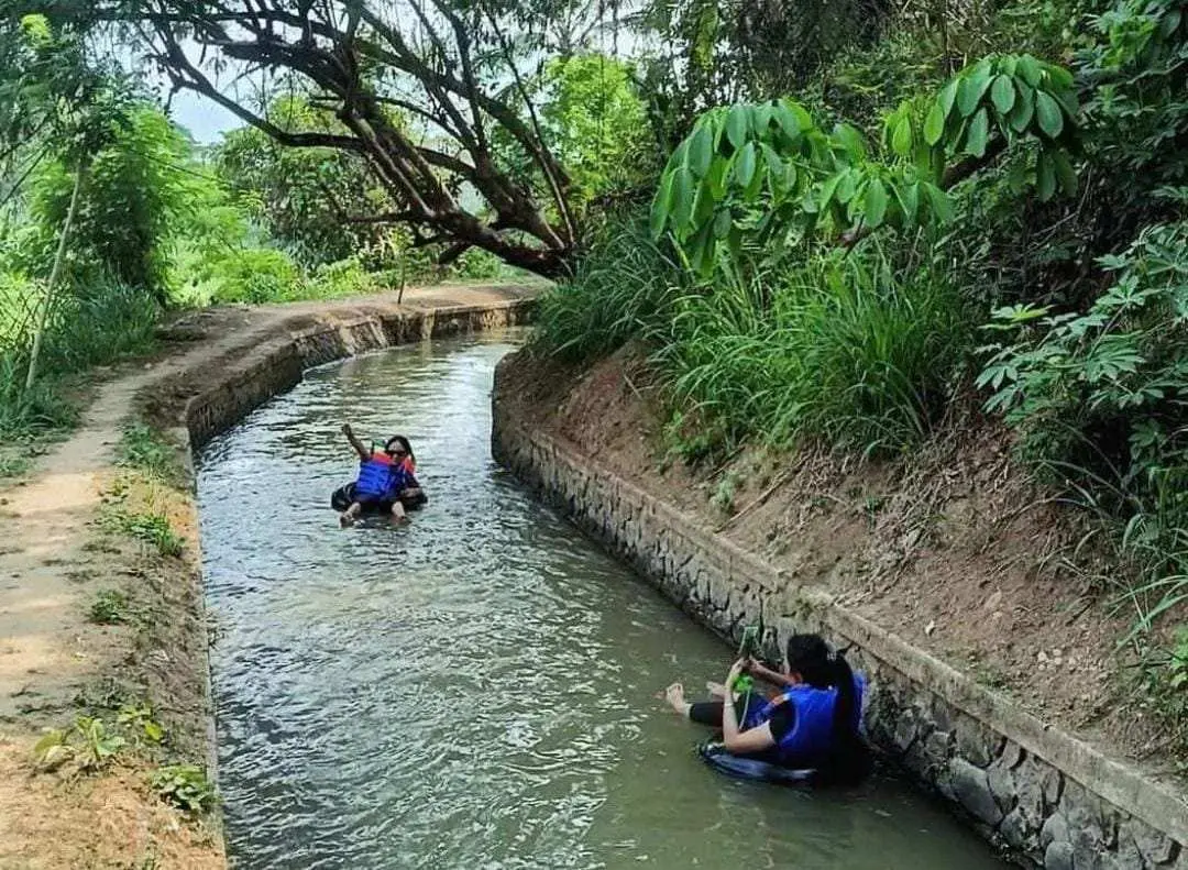 Healing di Alam Terbuka: River Tubing dan Arung Jeram Family di Jasinga, Destinasi Wisata Seru dan Menyegarkan