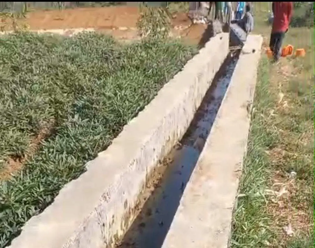 Diduga Mencemari Lingkungan, Keberadaan Kandang Sapi di Desa Cibedug Diprotes Warga