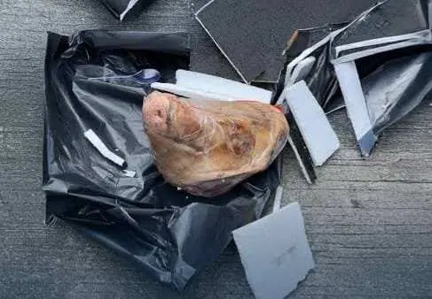 Kecam Pelaku Teror Kepada Tempo, Wamennaker Noel: Teror Seperti Ini Harus Dilawan