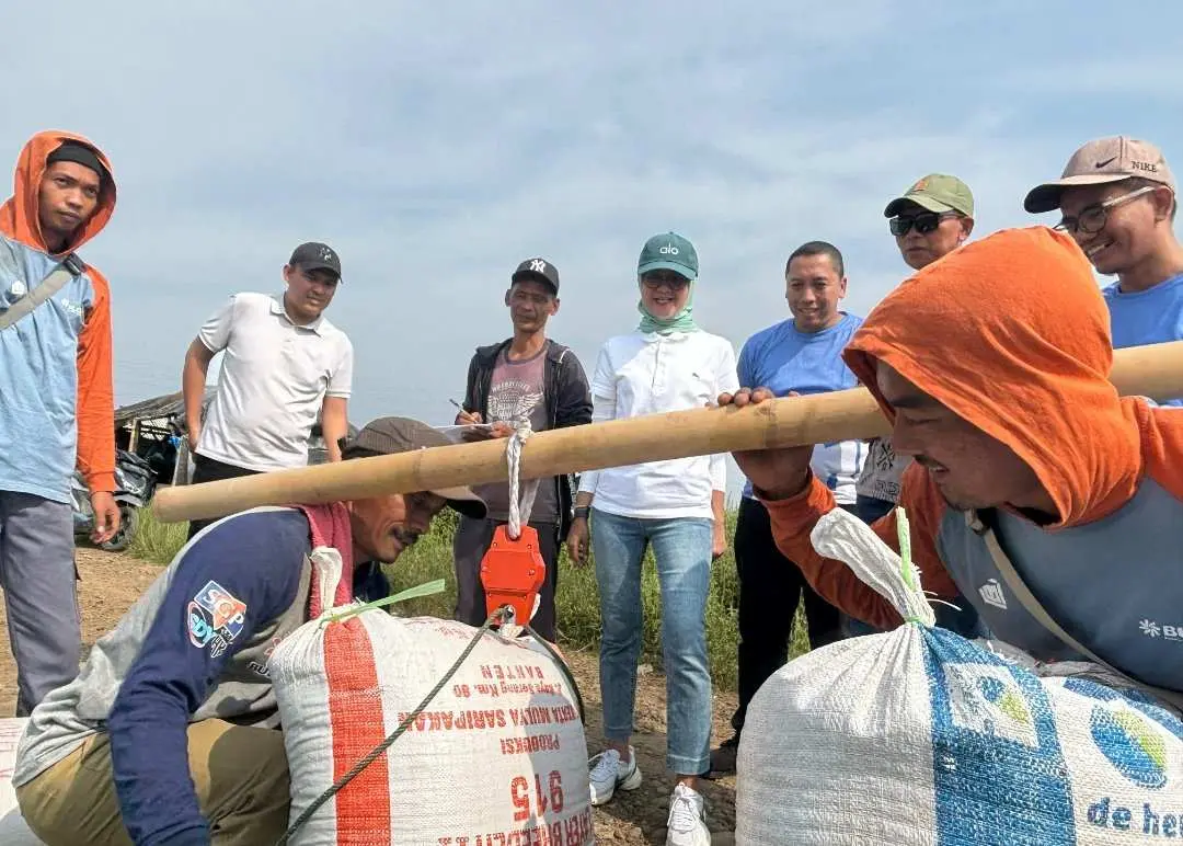 Tahun 2025, BULOG Jabar Akan Optimalkan Penyerapan Gabah Beras Petani Lokal 