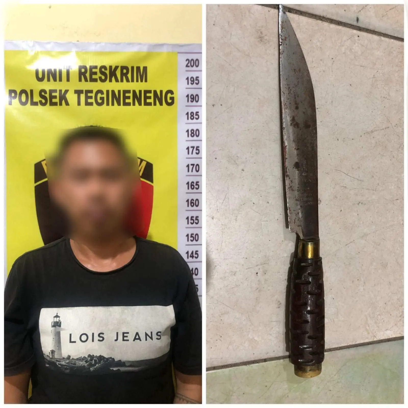 Pelaku Pembunuhan di Tegineneng Berhasil Diamankan Polisi, Ini Kronologisnya