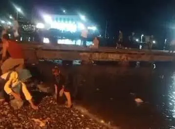 Heboh! Warga Kota Agung Tanggamus Berebut Ratusan Ikan Yang Loncat ke Pantai