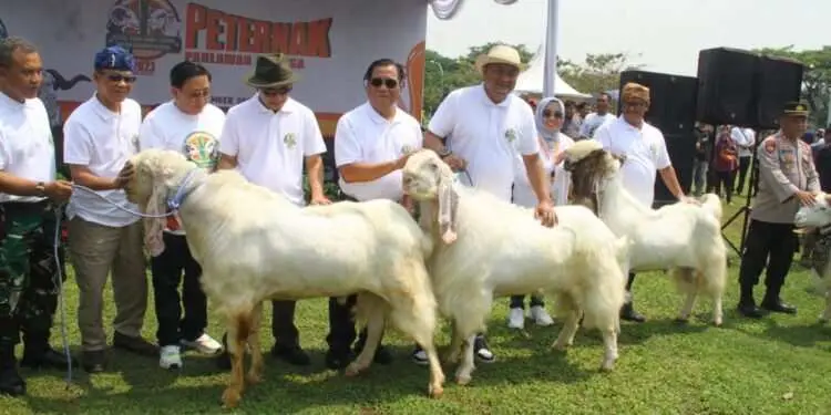 Sukses Majukan Sektor Peternakan, Rudy Susmanto Dapat Gelar “Bapak Peternak” dari HPDKI Bogor Raya