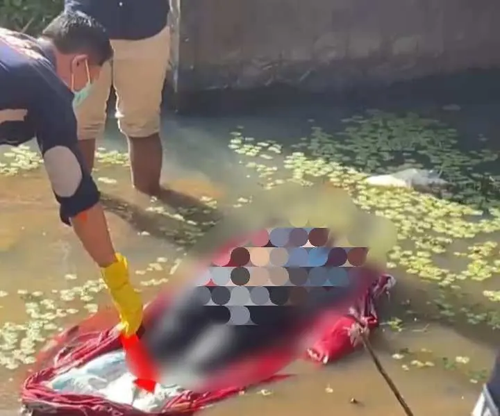 Geger Mayat Tampa Identitas Ditemukan Dibawah Jembatan Way Layap