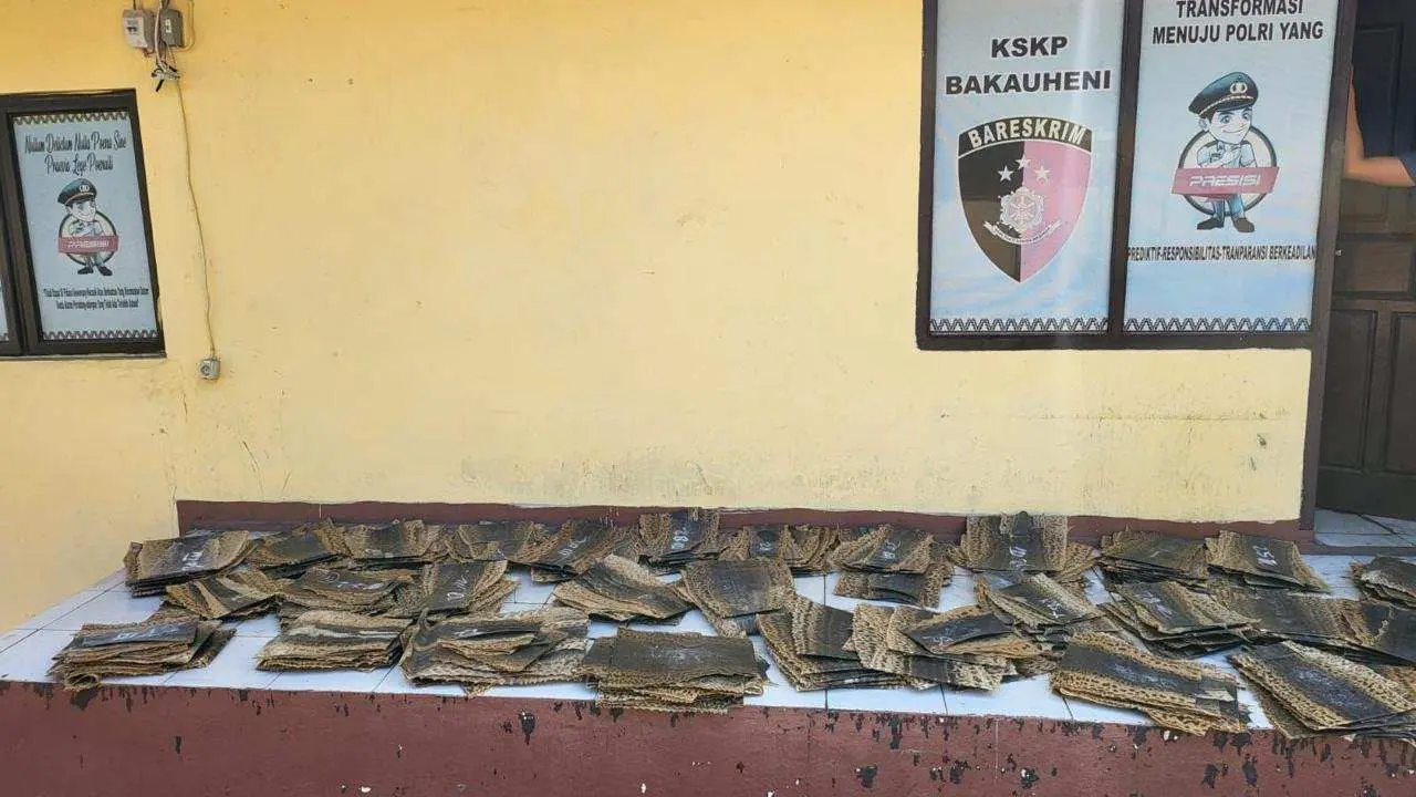 KSKP Bakauheni Gagalkan Penyelundupan Ratusan Kulit Ular Piton