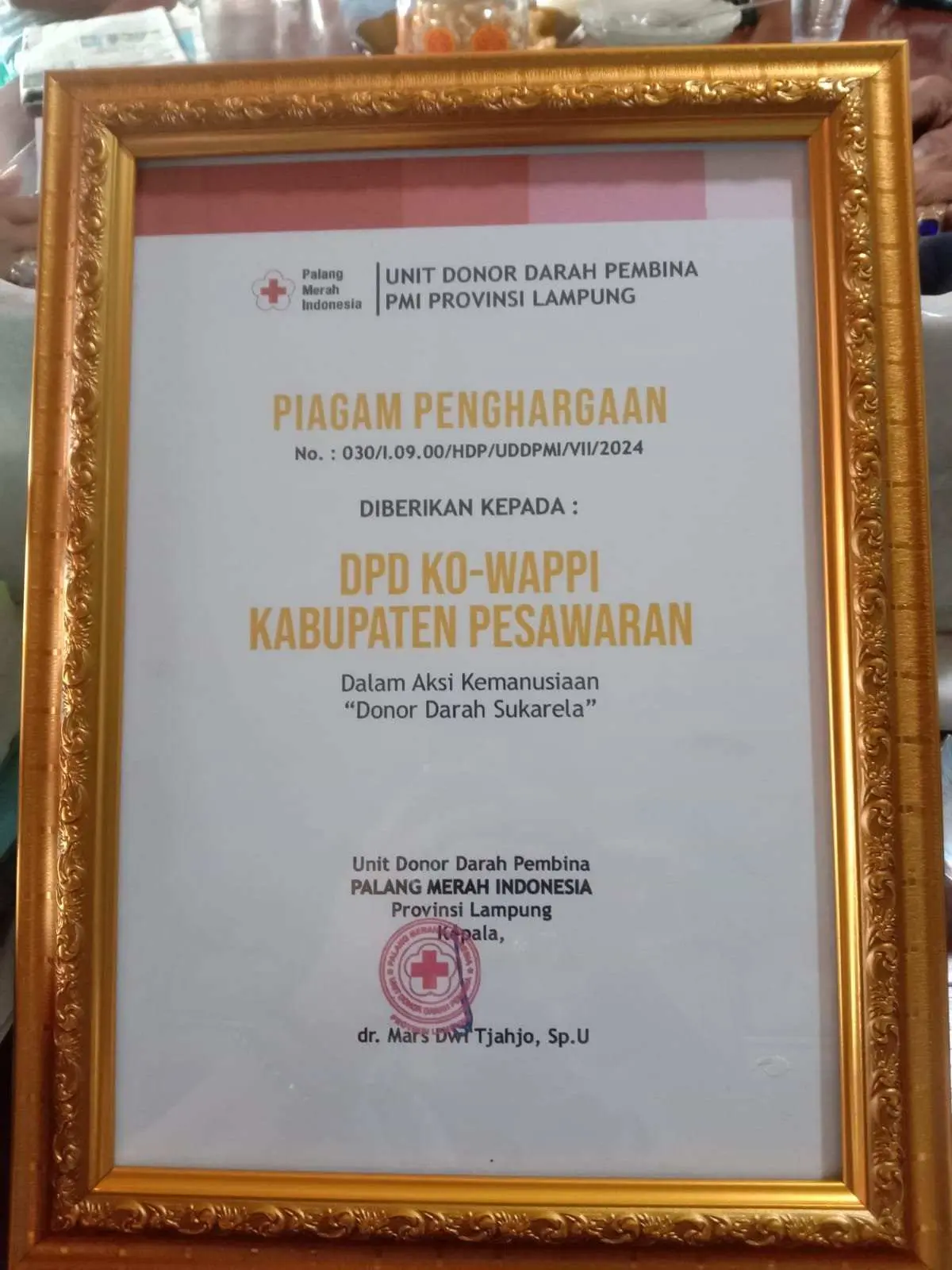 Aksi Sosial Donor Darah KO-WAPPI Pesawaran Mendapat Penghargaan Dari PMI