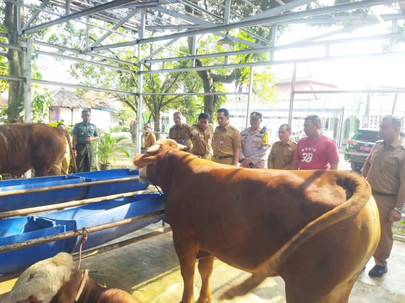 Polsek Legok Bersama Tiga Pilar Patroli Cek Kesehatan Hewan Kurban Di Tempat Penjualan Hewan Kurban