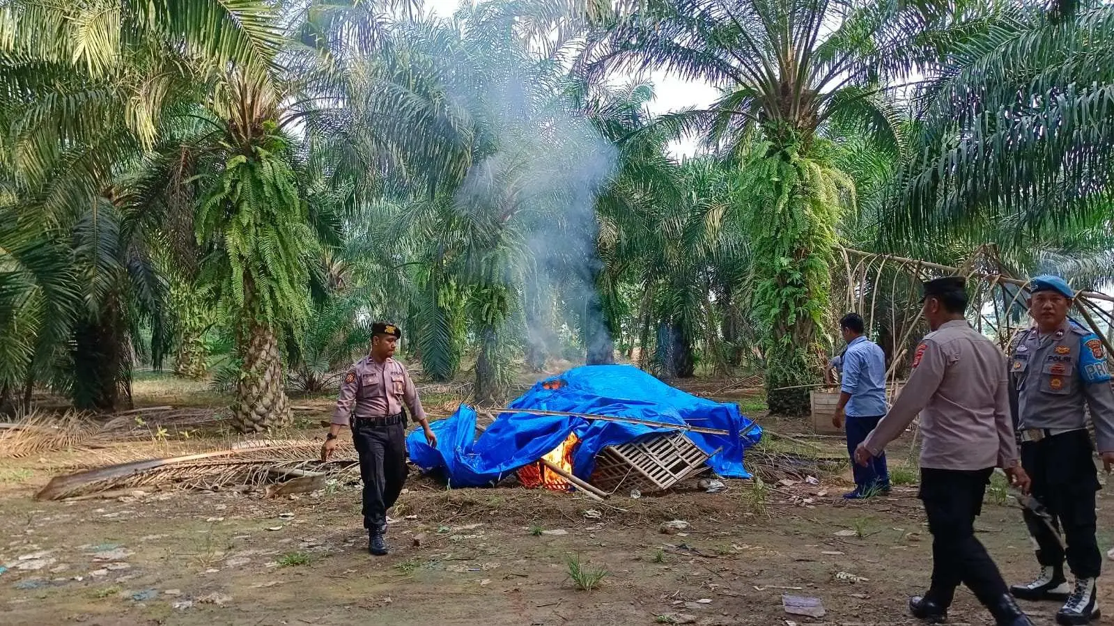 Aparat Gabungan Bongkar Bangunan Liar, Diduga Jadi Arena Judi Sabung Ayam