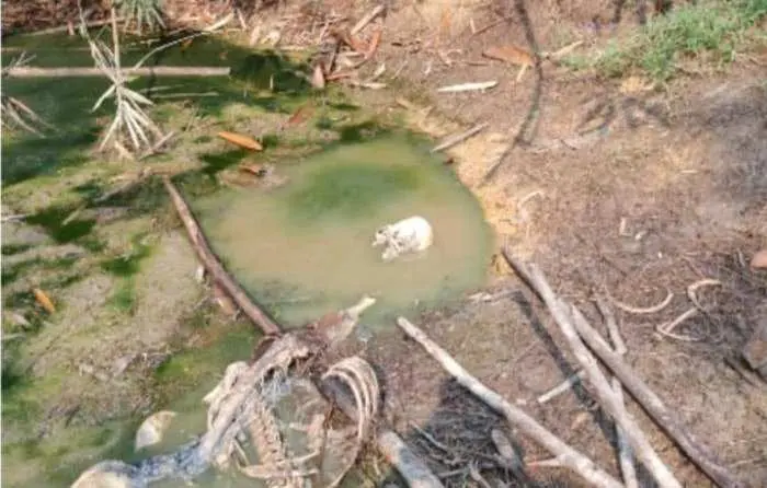 Polres Bogor Selidiki Kasus Penemuan Kerangka Manusia di Jasinga 