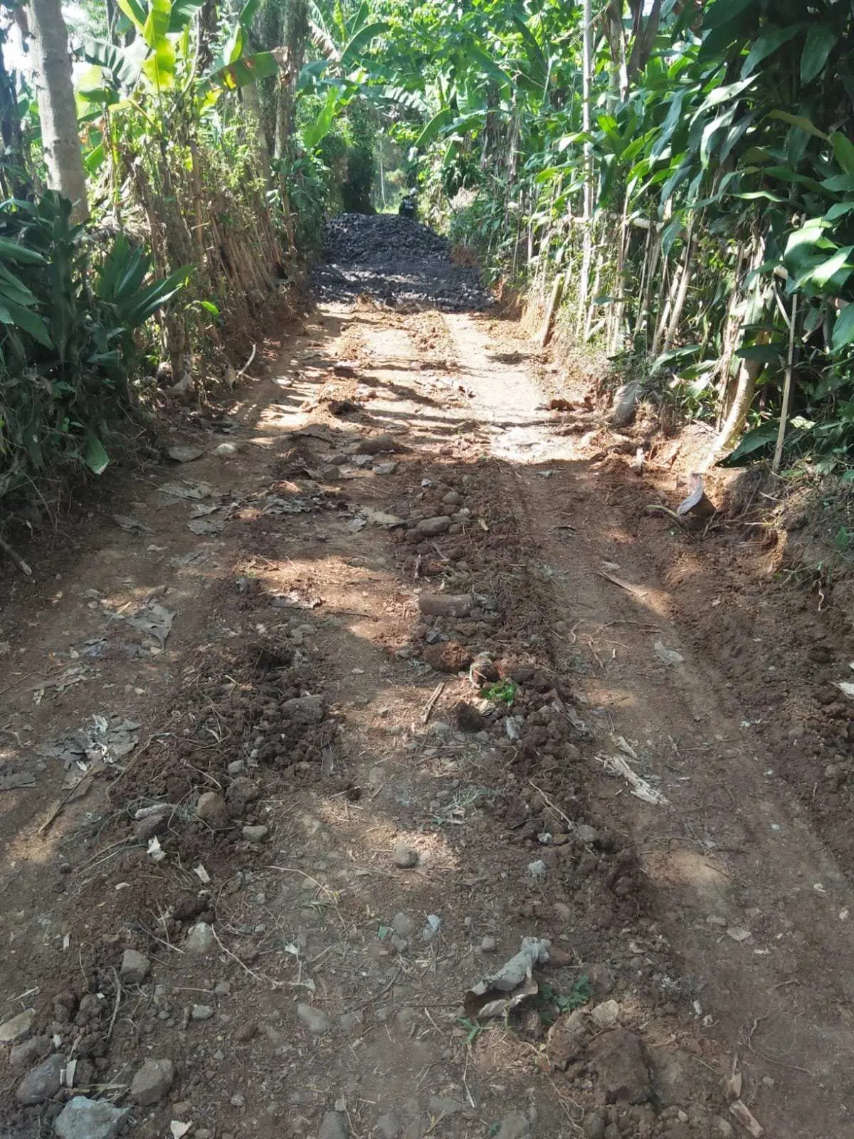 Program SAMISADE desa Cinagara di Manfaatkan Betonisasi Jalan dan TPT