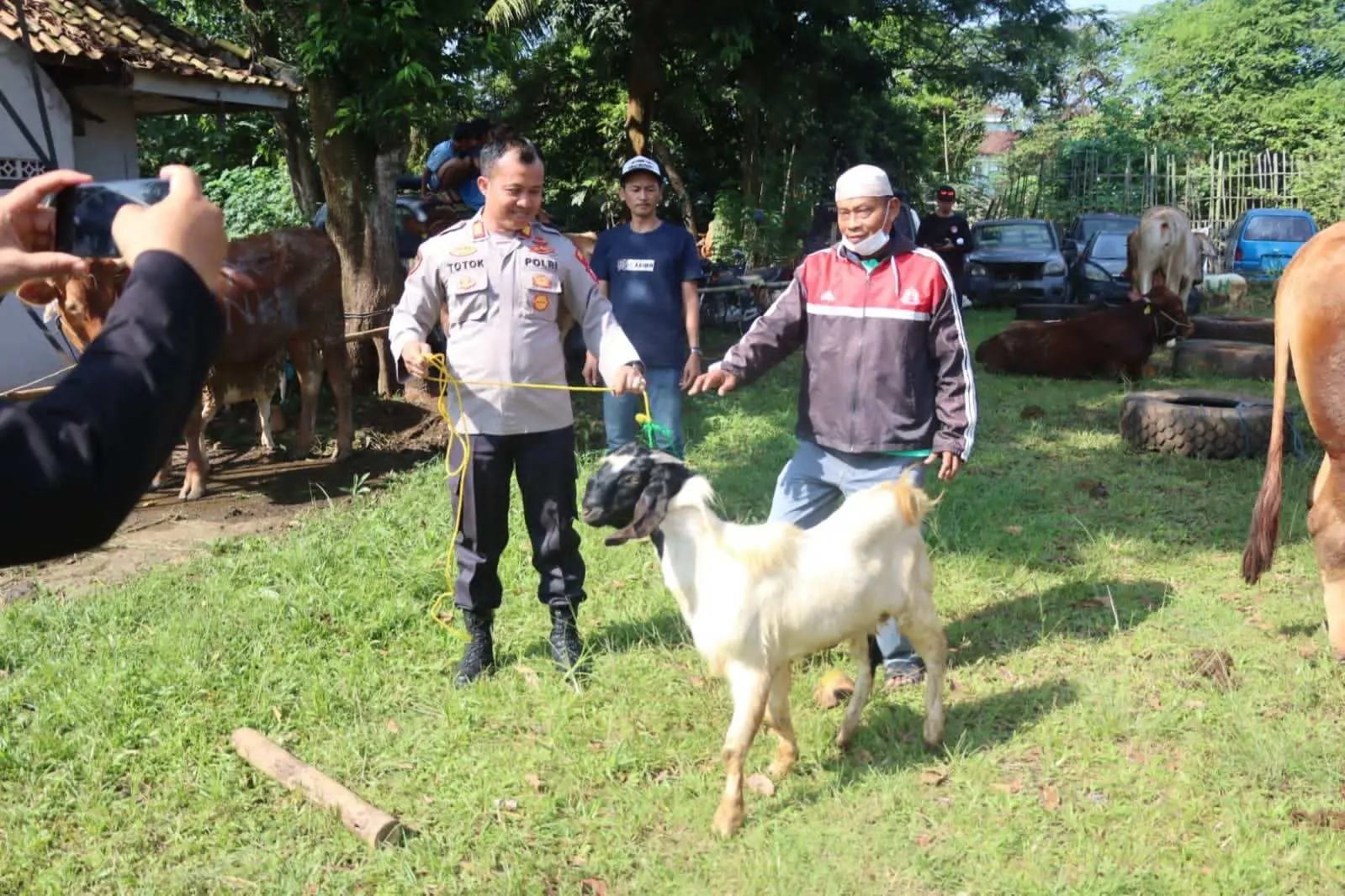 Idul Adha 1444 H dan Sambut Hari Bhayangkara Ke-77 Polres Tangsel Bagikan 71 Hewan Qurban