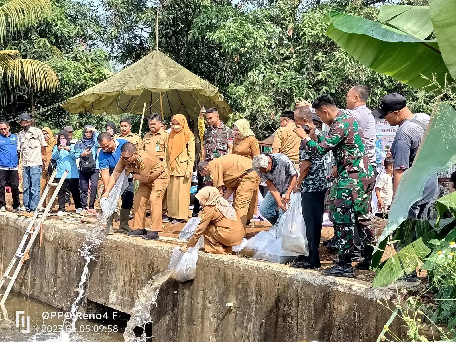 50 Ribu Ekor Benih Ikan Ditebar di Delapan Situ Cibinong