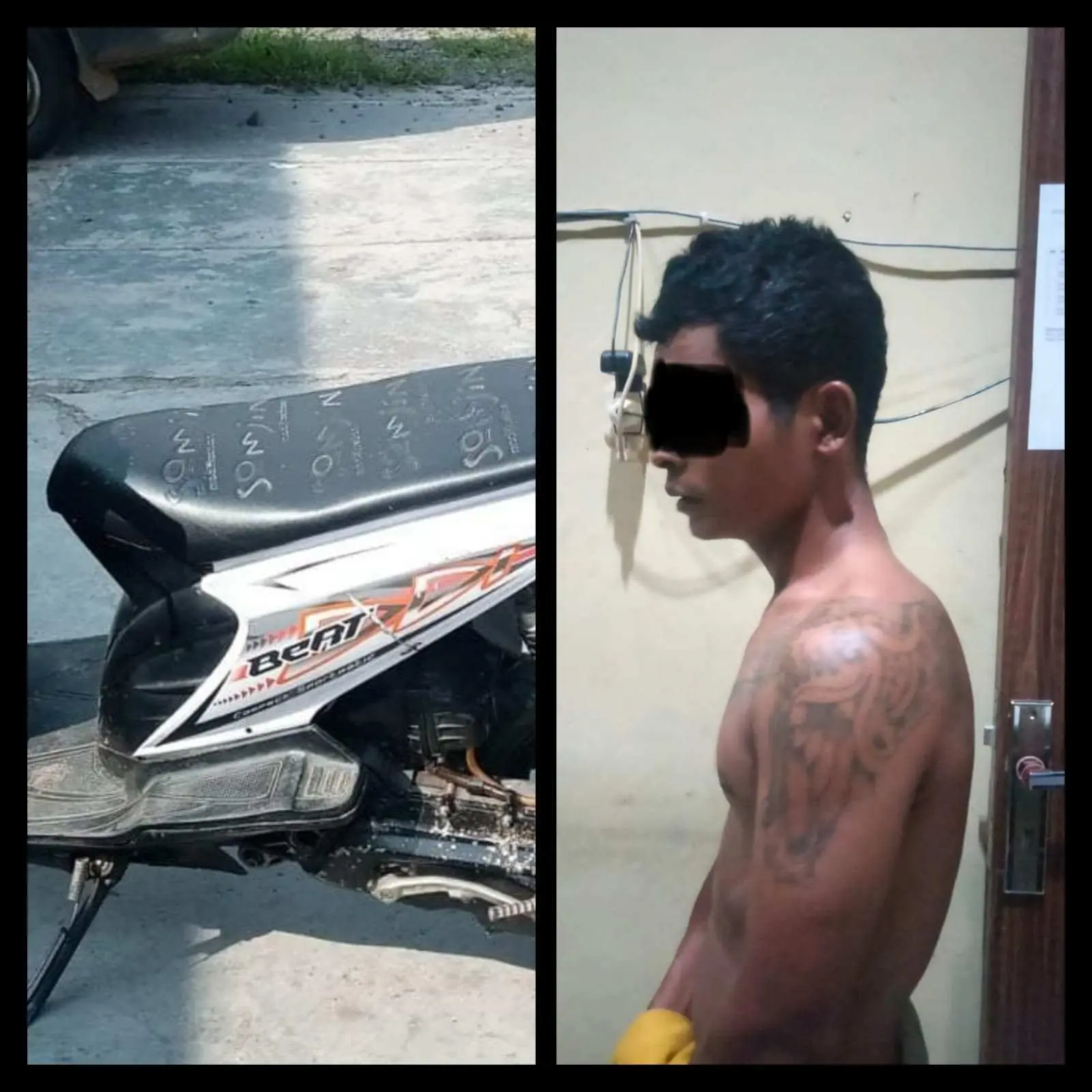 Team Tekab 308 Polres Pesawaran Amankan Satu Pelaku Curat Berikut Barang Bukti