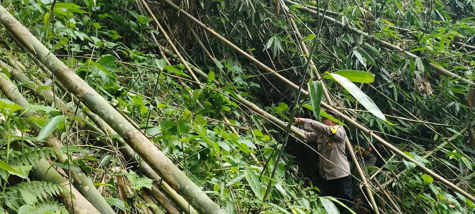 Mayat Tanpa Identitas Ditemukan Sudah Menjadi Tengkorak di Desa Citapen Ciawi