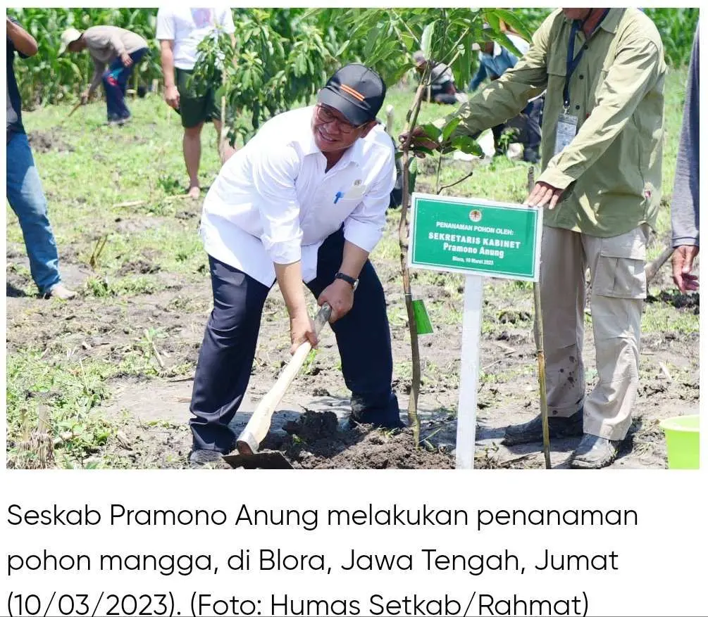 Presiden Jokowi Serahkan Sertipikat dan Tanam Pohon Bersama Petani di Blora